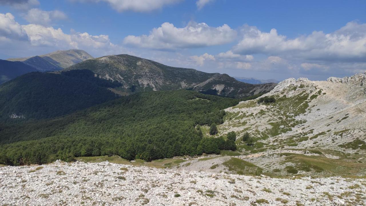 Veroli La Casina Gialla 빌라 외부 사진