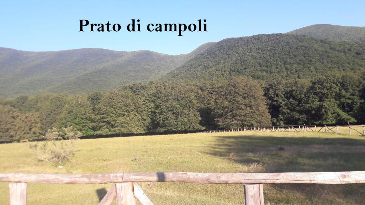 Veroli La Casina Gialla 빌라 외부 사진