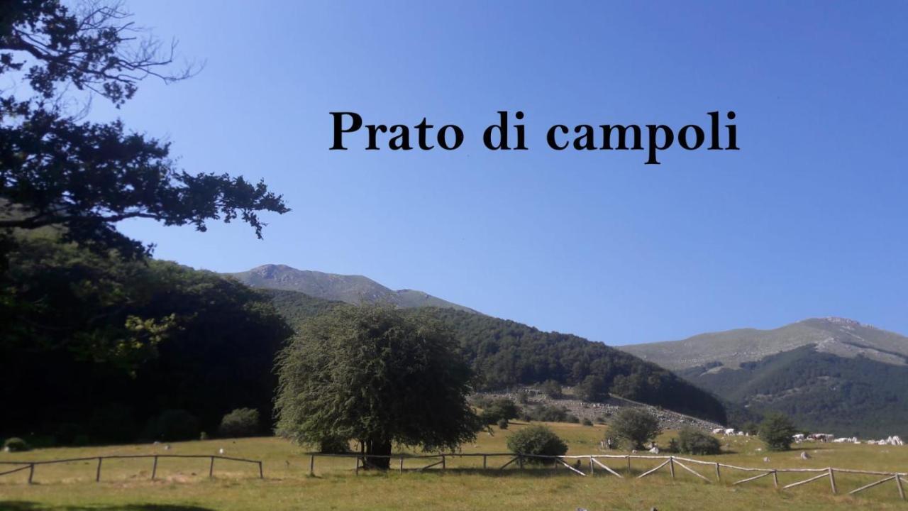 Veroli La Casina Gialla 빌라 외부 사진